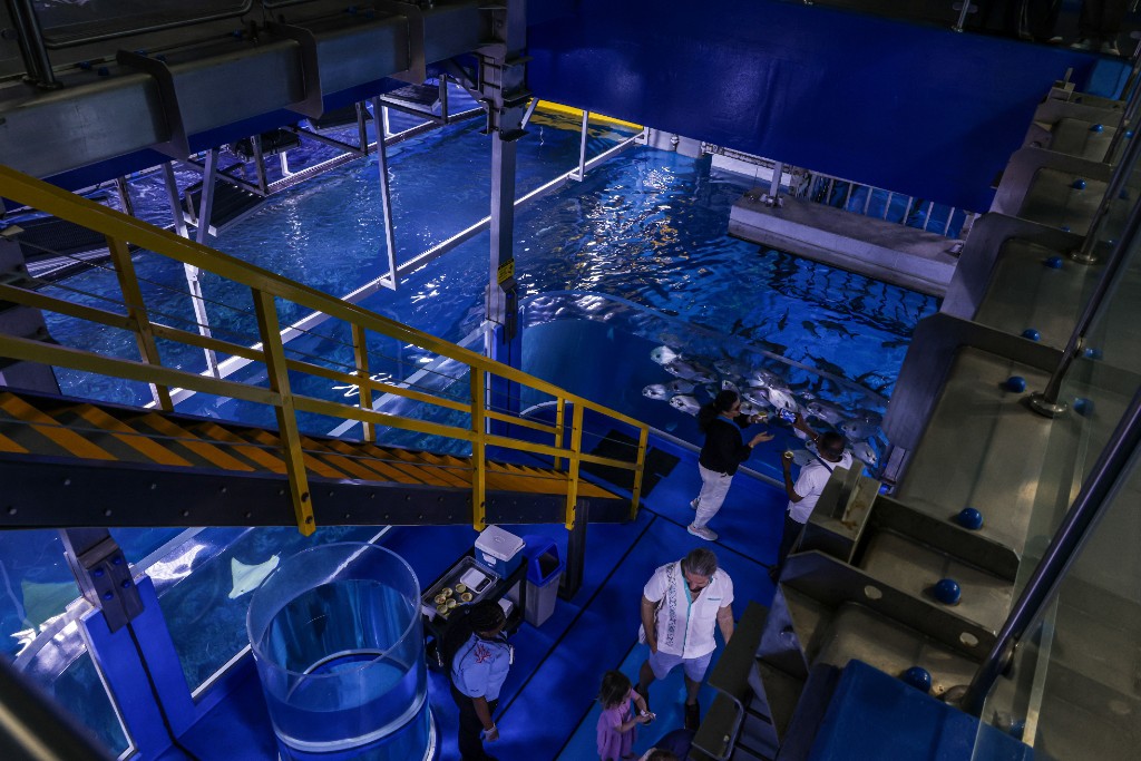 Große moderne Indoor-Aquakulturanlage mit Laufwegen und Produktionsbehältern